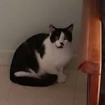 Faye Stanley - @xowepa9523 - Instagram