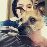 Faye Stanley-smith - @fayster97 - Instagram