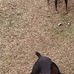 Faye Stanton - Facebook