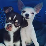 Joy faye Stanton - @stantonjoyfaye - Instagram