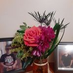 Faye Stepp - Facebook