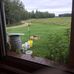 Faye Stevenson - Facebook