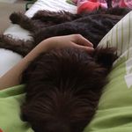 Amelia Faye Stiles - @ameliafaye_stiles - Instagram