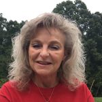 Faye Stiles - @biblesnippetlady - Instagram