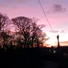 Faye xx - @faye_pickstock123 - TikTok