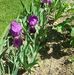 Faye Storey - Facebook