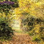 Faye Storey Photography - @fstoreyphotography - Instagram