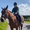 Faye + class 🫶🏼 - @faye.equiestrain - TikTok