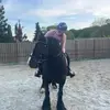 Horses💞 - @faye.equestrain - TikTok