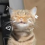 Faye - @strawb.faye - Instagram