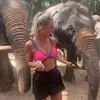 Faye Stringer - @fayestringer2 - TikTok