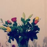 Faye - @fayestrong - Instagram
