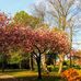 Faye Strong - Facebook