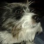 Fay Struble - @faystruble - Instagram