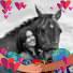 Fay Sutherland - Facebook