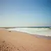 F - @fayeelsiesutton - TikTok