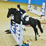 Faye sutton - @equinefaye1 - Instagram