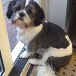 Fay Sweeney - @faysweeney - Instagram
