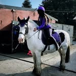 Fayeee - @fayesweeney7 - Instagram