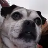 Fayesw - @fayesweeney2 - TikTok