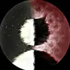 fayethorne - @fayethorne33 - TikTok
