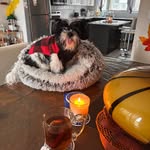 Faye McManus - @fayetilley - Instagram