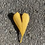 Faye Vickers - @the.yorkshire.kiwi - Instagram