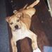 Faye Waldron - Facebook