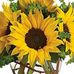 Faye Waldrop - Facebook