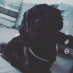 @fay.ewallace - Instagram