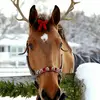 Faye Waller - @fayeloveshorses - TikTok