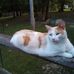 Faye Waynick - Facebook