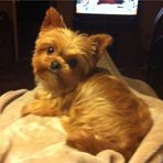 Faye Webb - Facebook