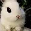 Faye Wilkinson - @faye4lyfe - TikTok