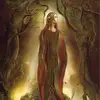 Fae Wren - @theravenwitchwren - TikTok