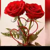 FAZALKARIM - @fazalkareem956 - TikTok
