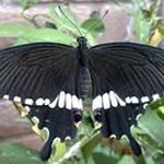 Fazle Akbar - @fazle.akbar94 - Instagram