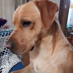 Fe Hernandez Salgado - @fehernandezsalgado - Instagram
