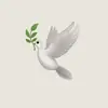 Fé e Paz 🕊️ - @fe.epaz - TikTok