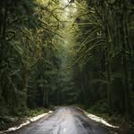 featherwrighter - @featherwrighter - Instagram