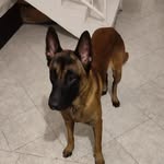 Febe Perez - @febeperez2020 - Instagram