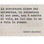 Federico Bertolini - @coridefe63 - Instagram