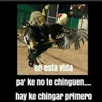 Federico Borja - Facebook