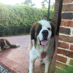 Federico Botero - @lokom_botero - Instagram