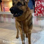 Federico Botero Garcia - @boterogarciafederico - Instagram