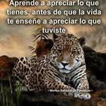 Federico Perez Cadena - @federicoperezcadena - Instagram