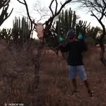 Federico Salas Cedillo - @fedesalascedillo - Instagram