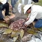 jose federico cerda zul - @cerdajosefederico - Instagram