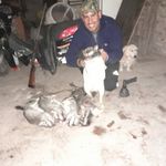 Federico Cisneros - @cisnerosfederico176 - Instagram