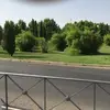 Federico Fermin Gomez - @federicofermin2 - TikTok